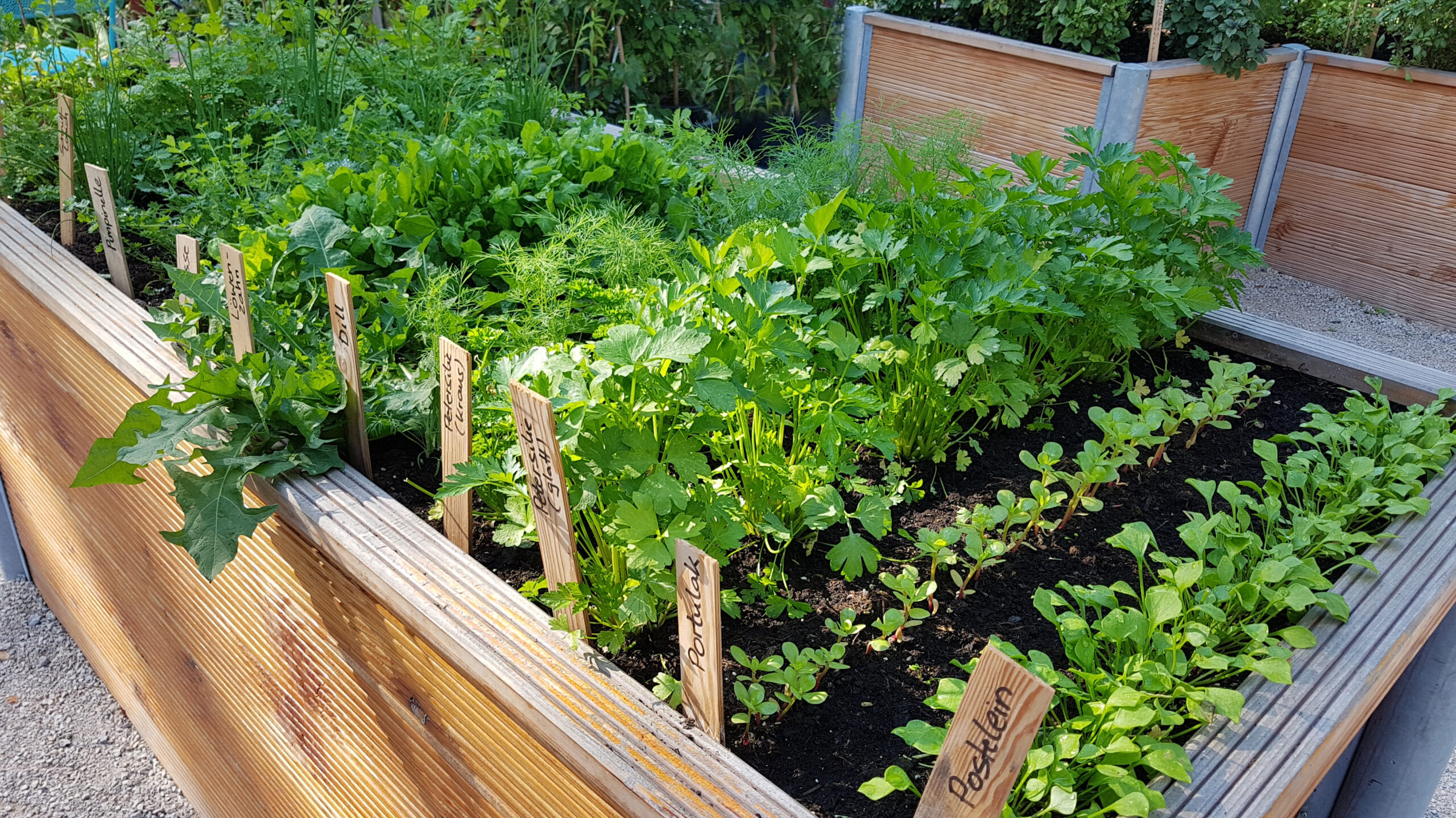 13 simple secrets why raised bed gardening is so fruitful Landecor